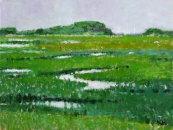 Marsh in Summer